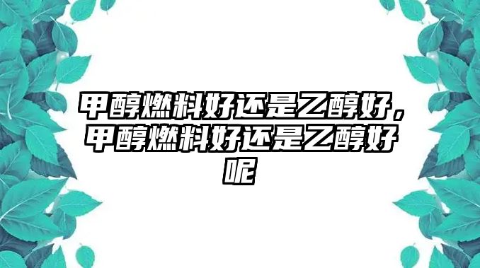 甲醇燃料好還是乙醇好，甲醇燃料好還是乙醇好呢