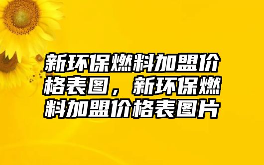 新環(huán)保燃料加盟價格表圖，新環(huán)保燃料加盟價格表圖片