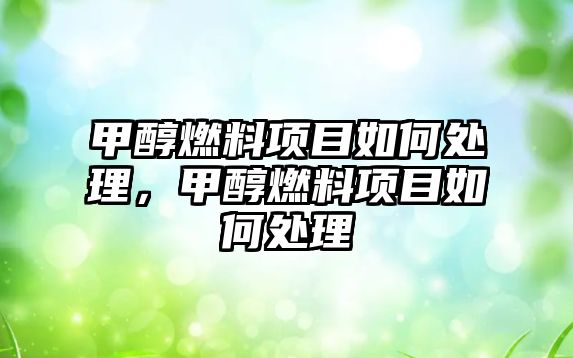 甲醇燃料項目如何處理，甲醇燃料項目如何處理