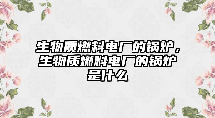 生物質(zhì)燃料電廠的鍋爐，生物質(zhì)燃料電廠的鍋爐是什么