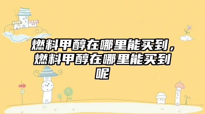 燃料甲醇在哪里能買到，燃料甲醇在哪里能買到呢