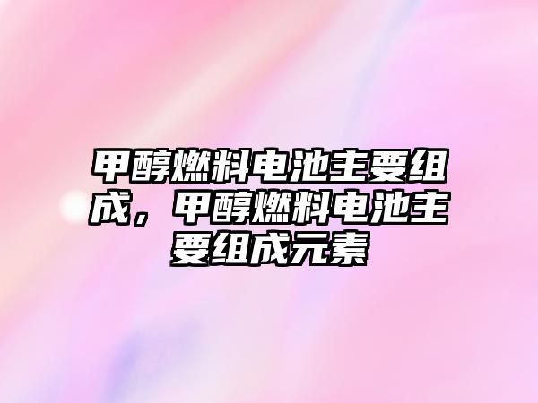 甲醇燃料電池主要組成，甲醇燃料電池主要組成元素