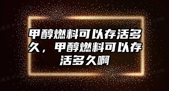 甲醇燃料可以存活多久，甲醇燃料可以存活多久啊