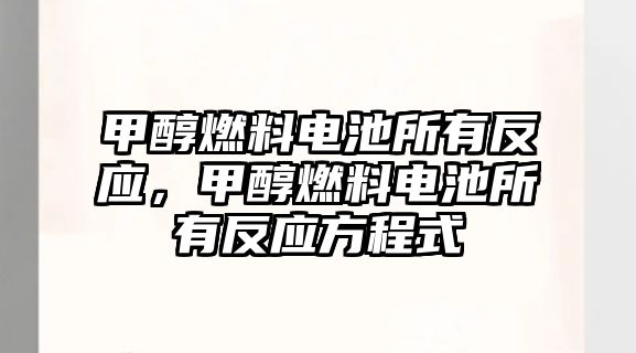 甲醇燃料電池所有反應，甲醇燃料電池所有反應方程式