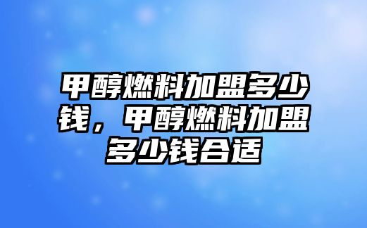 甲醇燃料加盟多少錢，甲醇燃料加盟多少錢合適