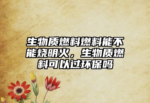 生物質(zhì)燃料燃料能不能燒明火，生物質(zhì)燃料可以過環(huán)保嗎