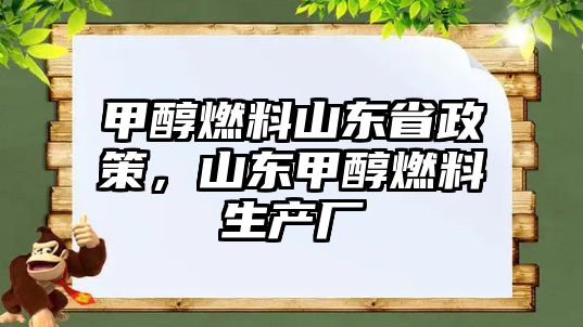 甲醇燃料山東省政策，山東甲醇燃料生產(chǎn)廠