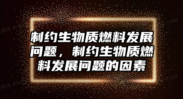 制約生物質(zhì)燃料發(fā)展問題，制約生物質(zhì)燃料發(fā)展問題的因素