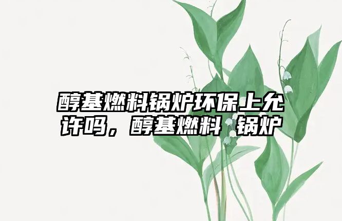 醇基燃料鍋爐環(huán)保上允許嗎，醇基燃料 鍋爐