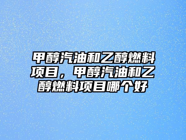 甲醇汽油和乙醇燃料項目，甲醇汽油和乙醇燃料項目哪個好