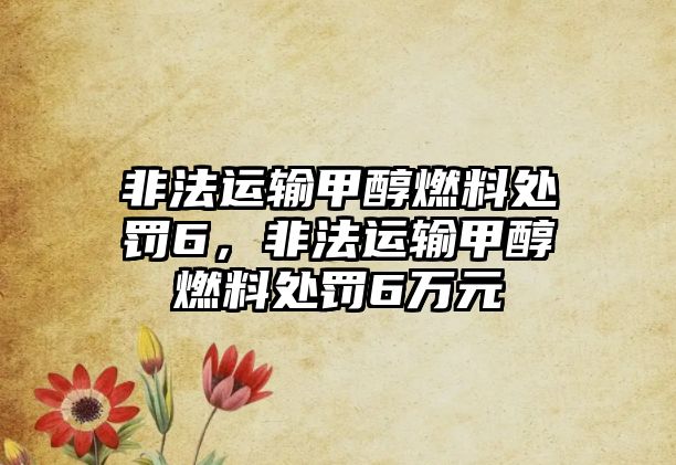 非法運輸甲醇燃料處罰6，非法運輸甲醇燃料處罰6萬元