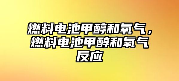 燃料電池甲醇和氧氣，燃料電池甲醇和氧氣反應(yīng)