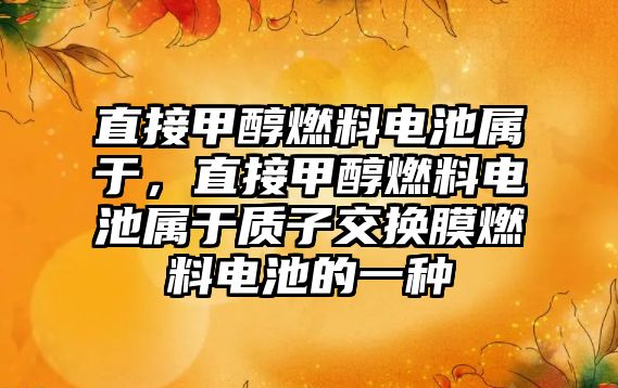 直接甲醇燃料電池屬于，直接甲醇燃料電池屬于質(zhì)子交換膜燃料電池的一種