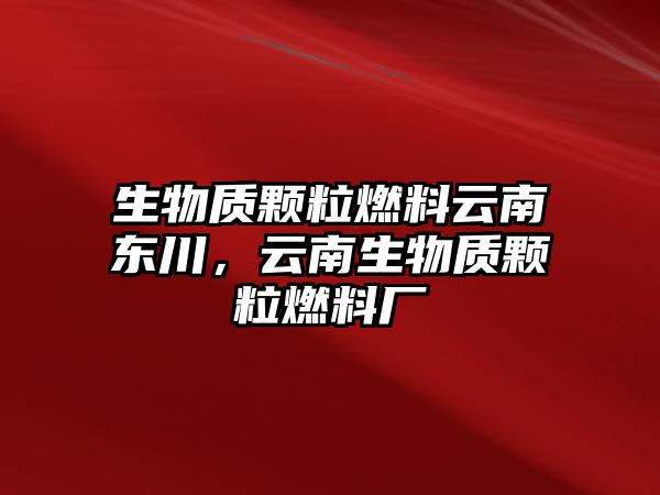 生物質(zhì)顆粒燃料云南東川，云南生物質(zhì)顆粒燃料廠