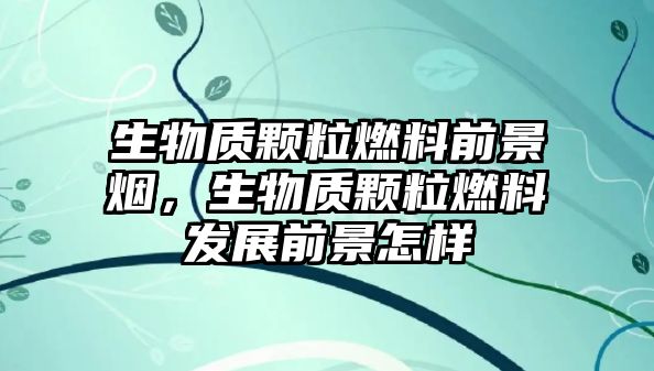 生物質(zhì)顆粒燃料前景煙，生物質(zhì)顆粒燃料發(fā)展前景怎樣