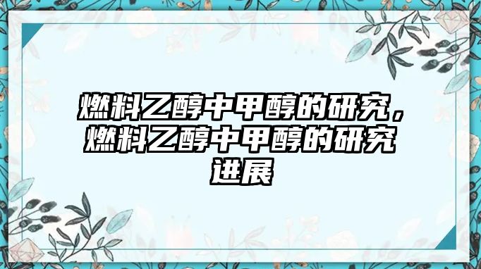 燃料乙醇中甲醇的研究，燃料乙醇中甲醇的研究進展