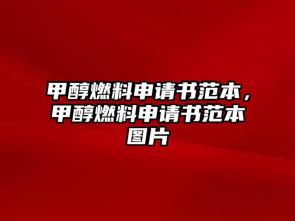 甲醇燃料申請書范本，甲醇燃料申請書范本圖片