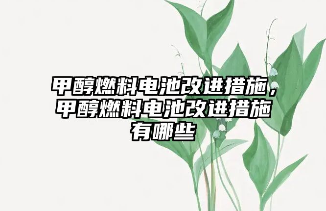 甲醇燃料電池改進措施，甲醇燃料電池改進措施有哪些