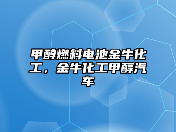 甲醇燃料電池金?；?，金?；ぜ状计? class=