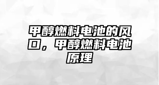 甲醇燃料電池的風(fēng)口，甲醇燃料電池原理