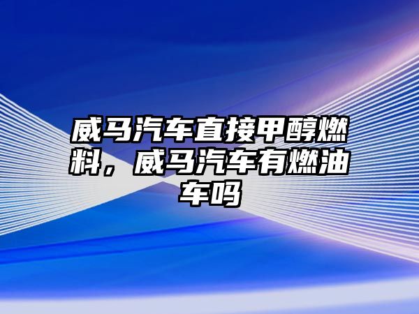 威馬汽車直接甲醇燃料，威馬汽車有燃油車嗎