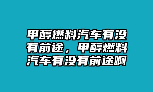 甲醇燃料汽車有沒有前途，甲醇燃料汽車有沒有前途啊