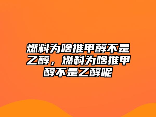 燃料為啥推甲醇不是乙醇，燃料為啥推甲醇不是乙醇呢