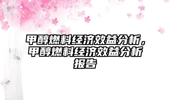 甲醇燃料經(jīng)濟效益分析，甲醇燃料經(jīng)濟效益分析報告