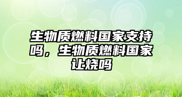 生物質(zhì)燃料國家支持嗎，生物質(zhì)燃料國家讓燒嗎