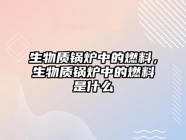 生物質(zhì)鍋爐中的燃料，生物質(zhì)鍋爐中的燃料是什么