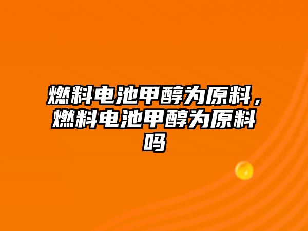 燃料電池甲醇為原料，燃料電池甲醇為原料嗎