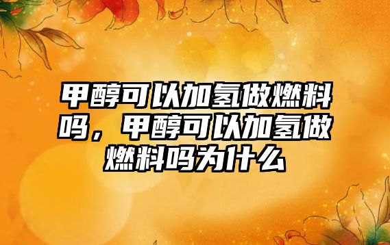 甲醇可以加氫做燃料嗎，甲醇可以加氫做燃料嗎為什么