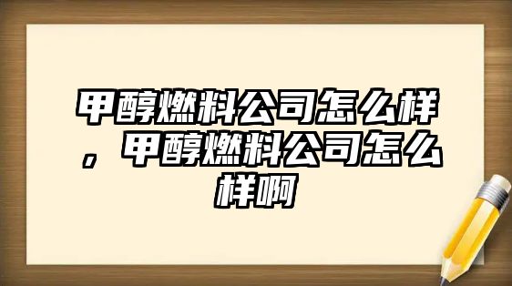 甲醇燃料公司怎么樣，甲醇燃料公司怎么樣啊