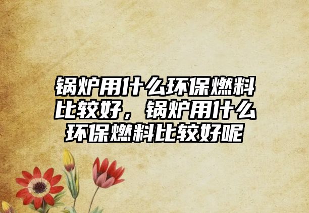 鍋爐用什么環(huán)保燃料比較好，鍋爐用什么環(huán)保燃料比較好呢