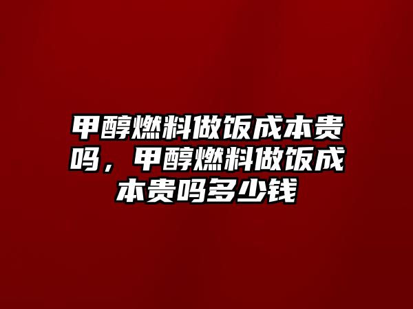 甲醇燃料做飯成本貴嗎，甲醇燃料做飯成本貴嗎多少錢