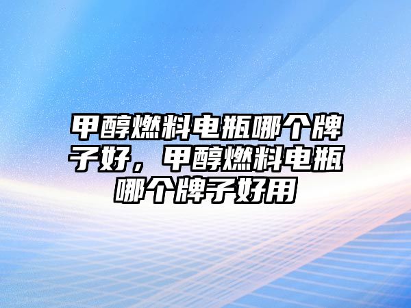 甲醇燃料電瓶哪個牌子好，甲醇燃料電瓶哪個牌子好用