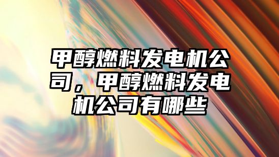 甲醇燃料發(fā)電機(jī)公司，甲醇燃料發(fā)電機(jī)公司有哪些