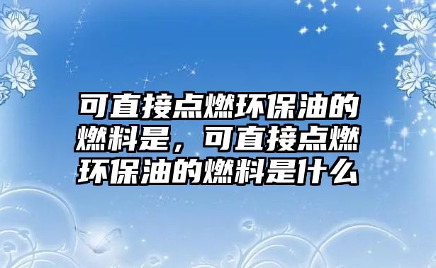 可直接點(diǎn)燃環(huán)保油的燃料是，可直接點(diǎn)燃環(huán)保油的燃料是什么