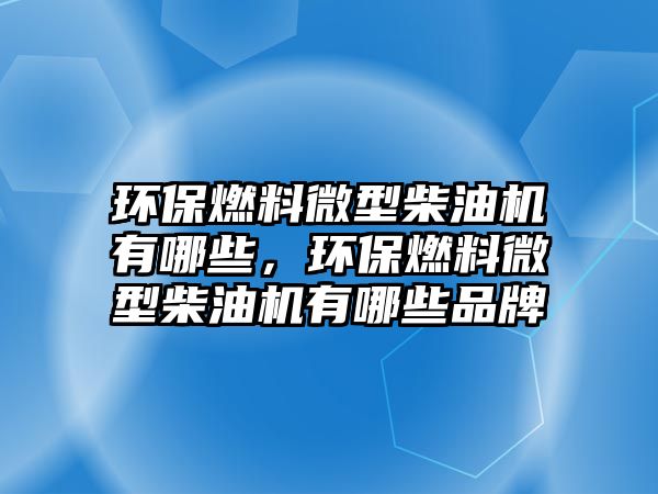 環(huán)保燃料微型柴油機有哪些，環(huán)保燃料微型柴油機有哪些品牌