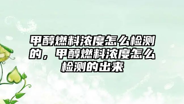 甲醇燃料濃度怎么檢測的，甲醇燃料濃度怎么檢測的出來