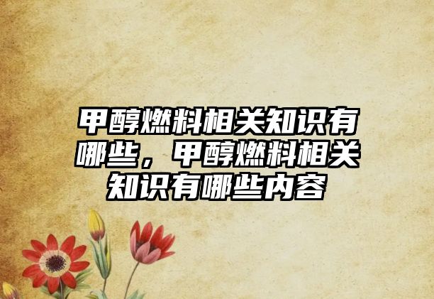 甲醇燃料相關知識有哪些，甲醇燃料相關知識有哪些內(nèi)容