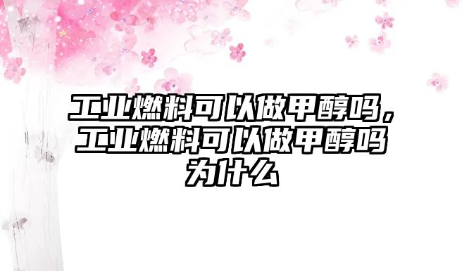 工業(yè)燃料可以做甲醇嗎，工業(yè)燃料可以做甲醇嗎為什么