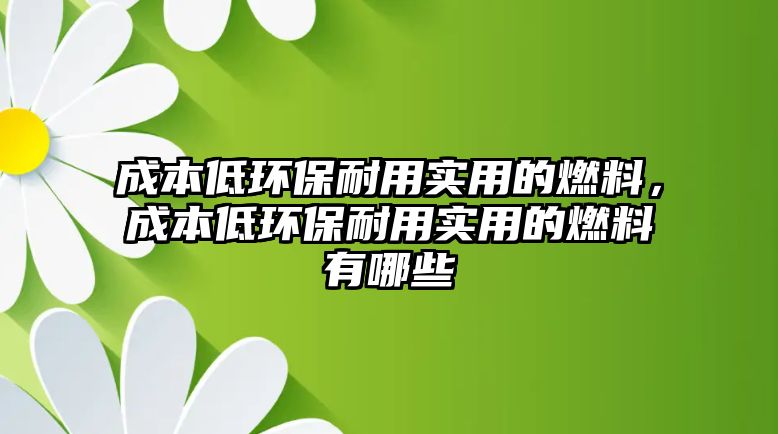 成本低環(huán)保耐用實用的燃料，成本低環(huán)保耐用實用的燃料有哪些