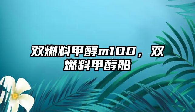 雙燃料甲醇m100，雙燃料甲醇船