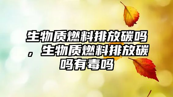 生物質(zhì)燃料排放碳嗎，生物質(zhì)燃料排放碳嗎有毒嗎