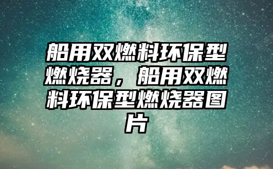 船用雙燃料環(huán)保型燃燒器，船用雙燃料環(huán)保型燃燒器圖片