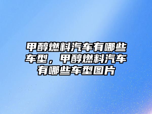 甲醇燃料汽車有哪些車型，甲醇燃料汽車有哪些車型圖片