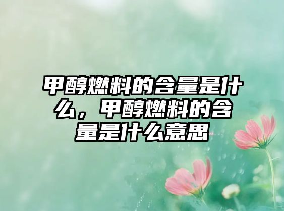 甲醇燃料的含量是什么，甲醇燃料的含量是什么意思