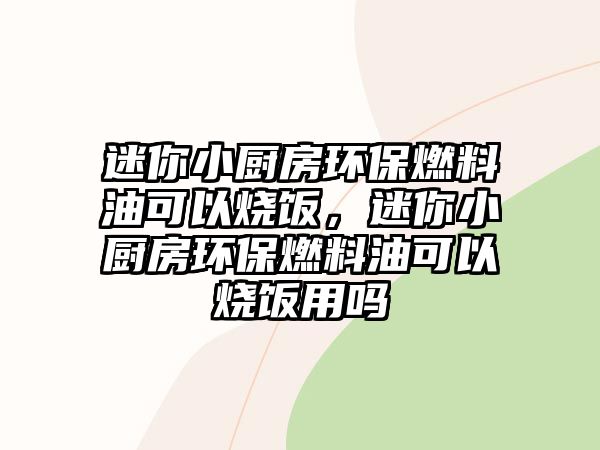 迷你小廚房環(huán)保燃料油可以燒飯，迷你小廚房環(huán)保燃料油可以燒飯用嗎