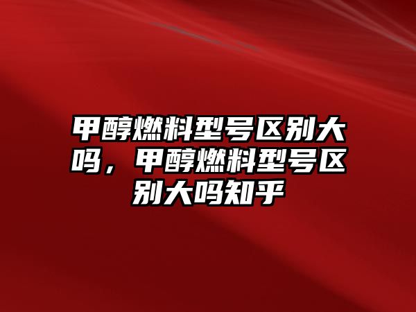 甲醇燃料型號(hào)區(qū)別大嗎，甲醇燃料型號(hào)區(qū)別大嗎知乎